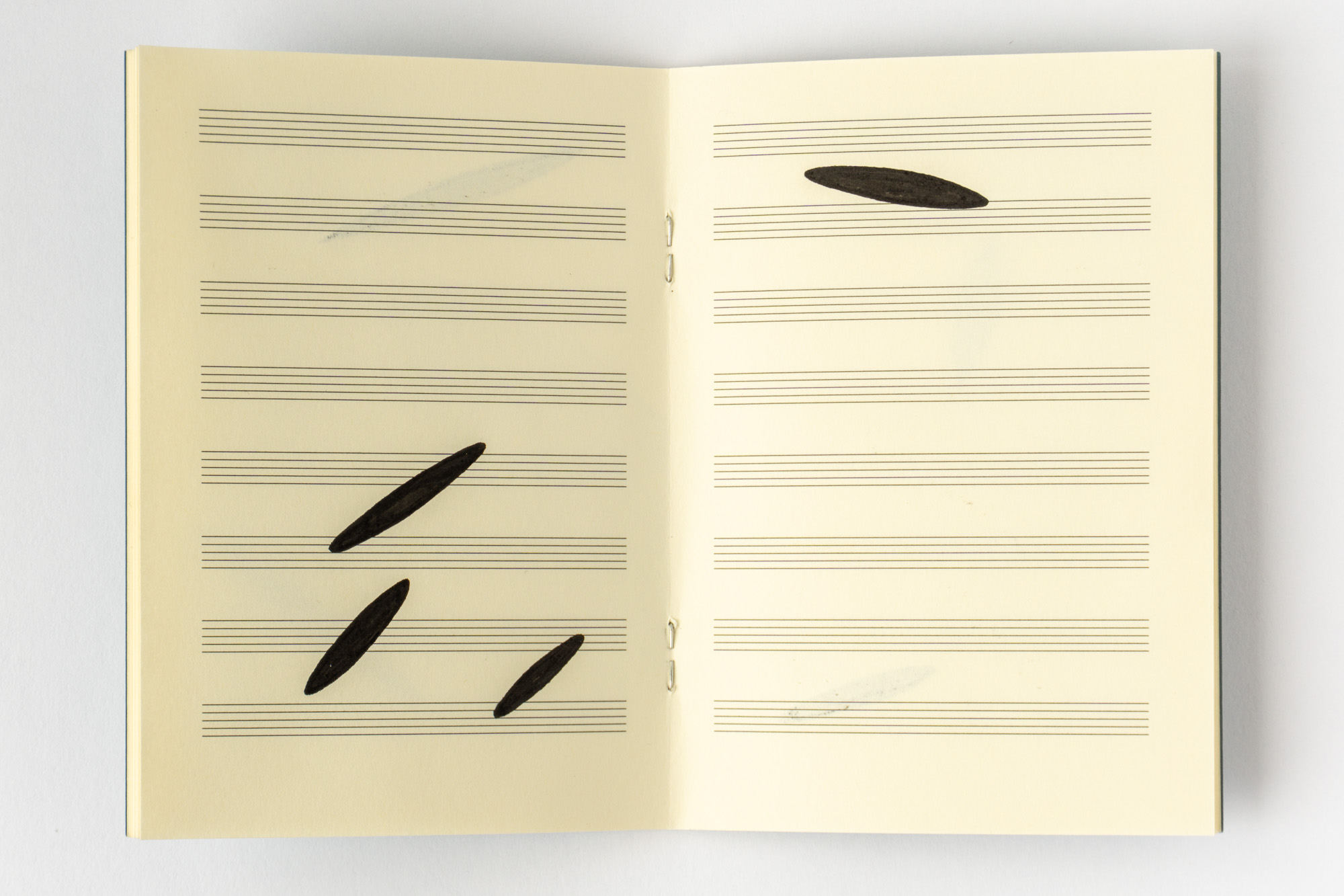 Negative Transcriptions by Robert Blatt